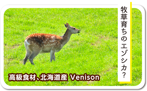 牧草育ちのエゾシカ？