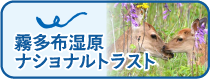 霧多布湿原ナショナルトラスト