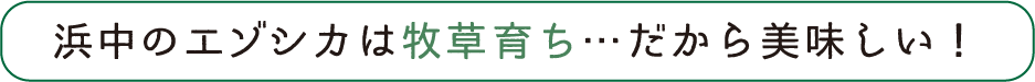 浜中のエゾシカは牧草育ち…だから美味しい！